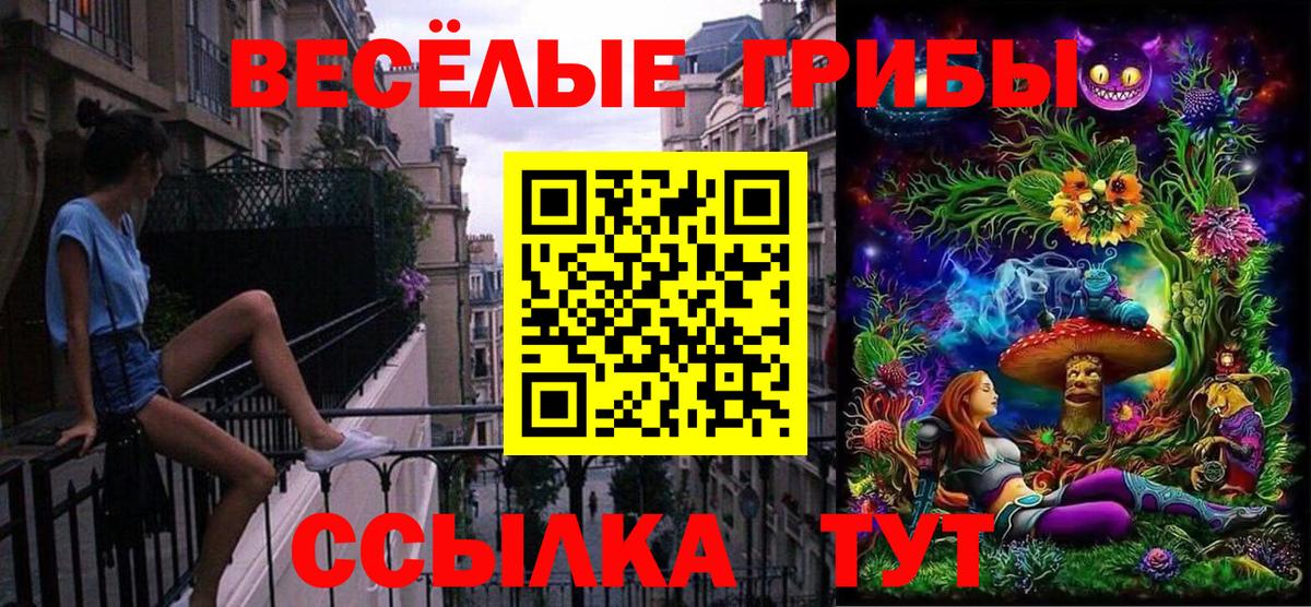 Воронеж  что такое наркотик  Вход с VPN  Псилоцибиновые грибы прущие грибы 